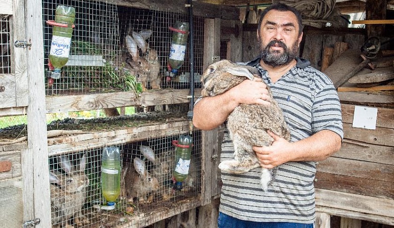 Из шумных городов – к исполнению мечты