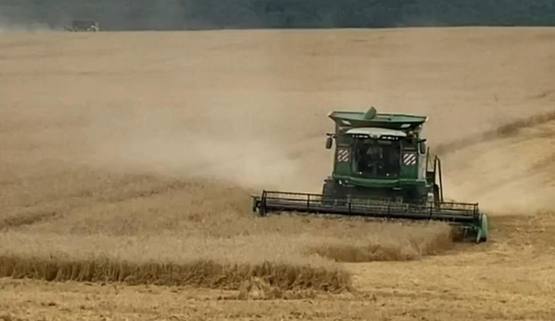 В Калужской области аграрии намолотили 180 тысяч тонн зерна