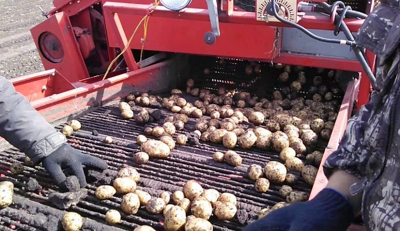 Побольше «Удачи» на полях!