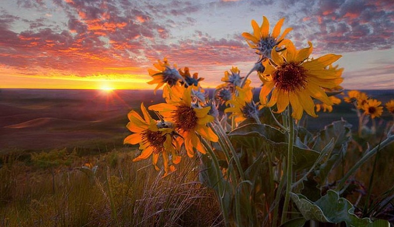 В Калуге в ближайшую неделю будет тепло и солнечно