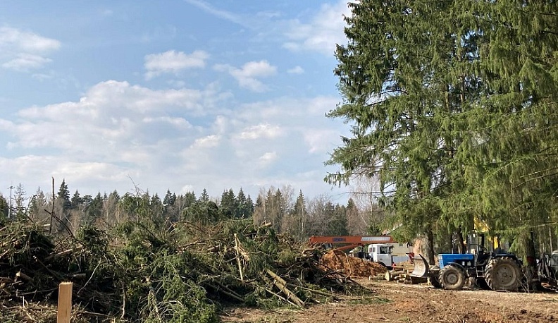 Более 150 деревьев вырубят в Обнинске для строительства дома
