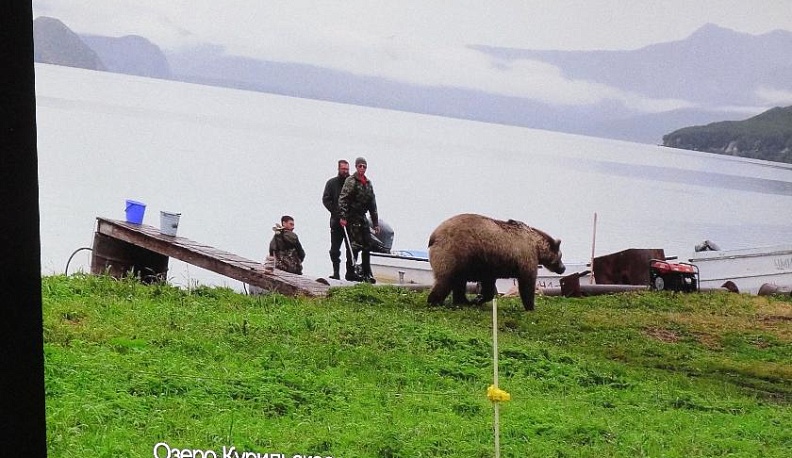 Мещовск - Мурманск – Камчатка