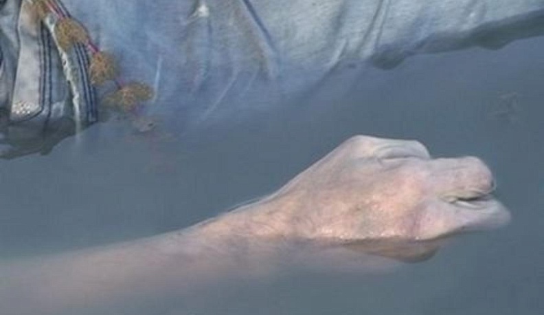 В Оке под Калугой нашли труп мужчины, утонувшего в Тульской области