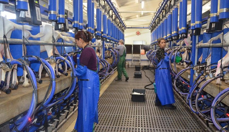 Мобилизовать все силы и работать