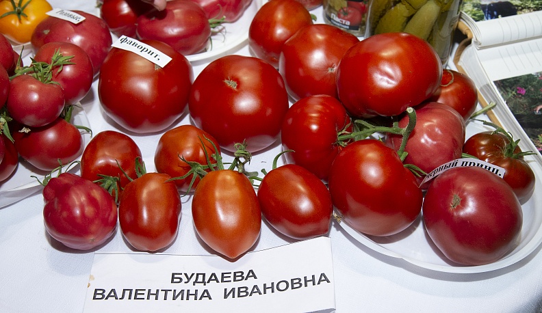 В калужском Доме народного творчества и кино «Центральный» открылась выставка даров сада и огорода