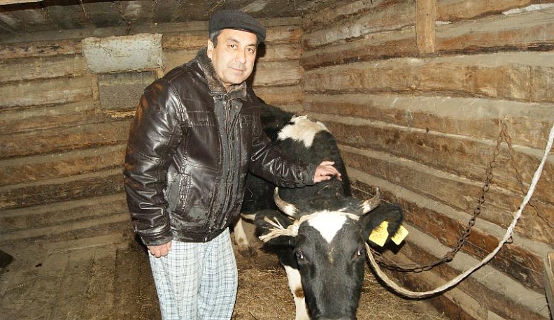 Кормилица для многодетной семьи