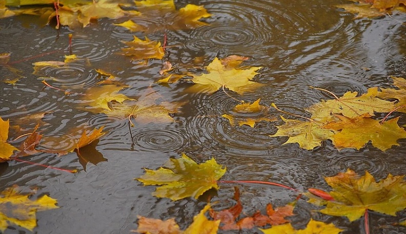 В Калуге будет дождливо и тепло
