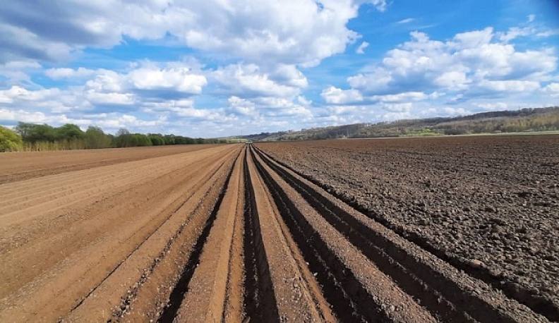 Местные сельхозпроизводители обеспечат калужан натуральными продуктами