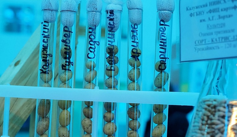 В 2025 году калужские аграрии на 3,7 % увеличили физический объем производства