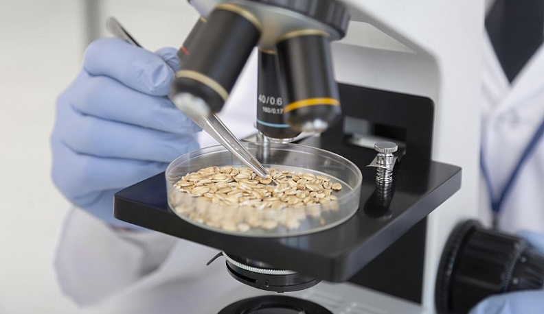 Калужские специалисты проверили более 88 тонн хлопьев для экспорта