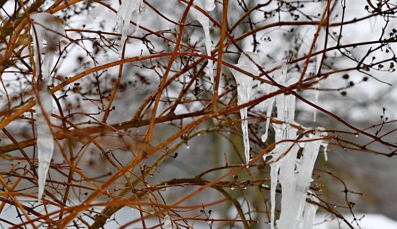 В Калужской области прогнозируют 7 марта сильный ветер, гололед и гололедицу