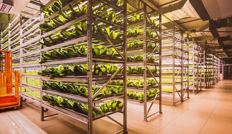 Молодо и зелено