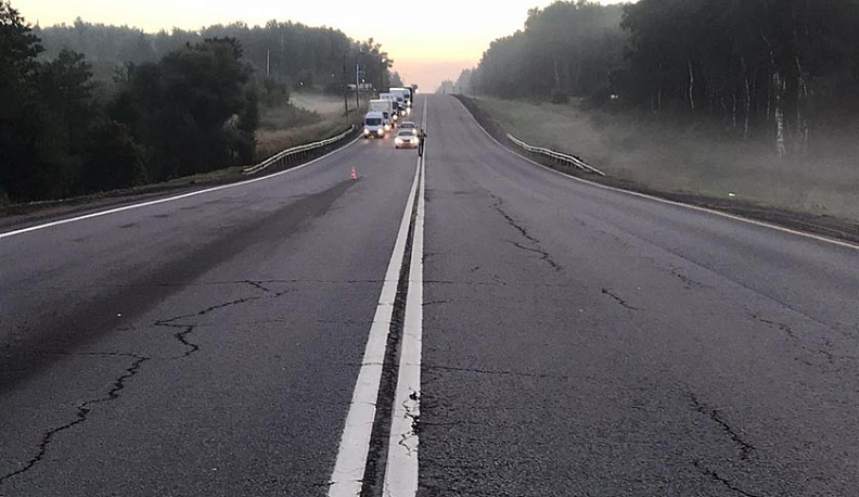 На Киевском шоссе в районе Балабанова насмерть сбили пешехода