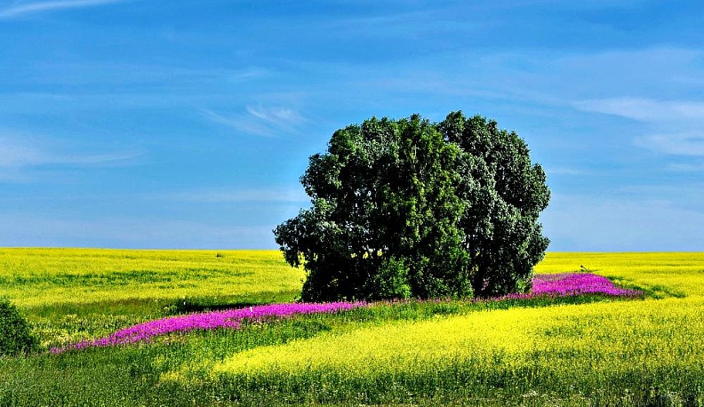 Попали в красный переплёт