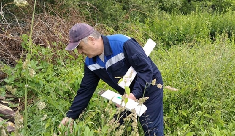 В лесах Калужской области разложили около 4 тысяч доз вакцины от бешенства