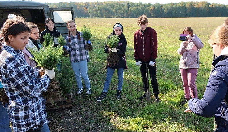 В Жиздринском районе посадили 1500 елей