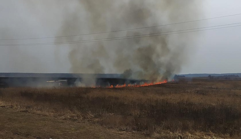 Министр назвала основными проблемами при распространении пожаров пал травы и несанкционированные свалки