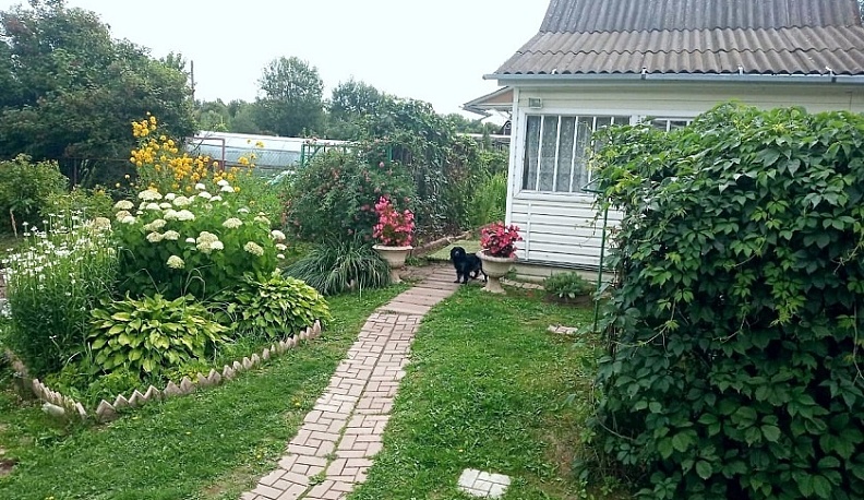 В Обнинске поймали вора продуктов и алкоголя из дачных домов