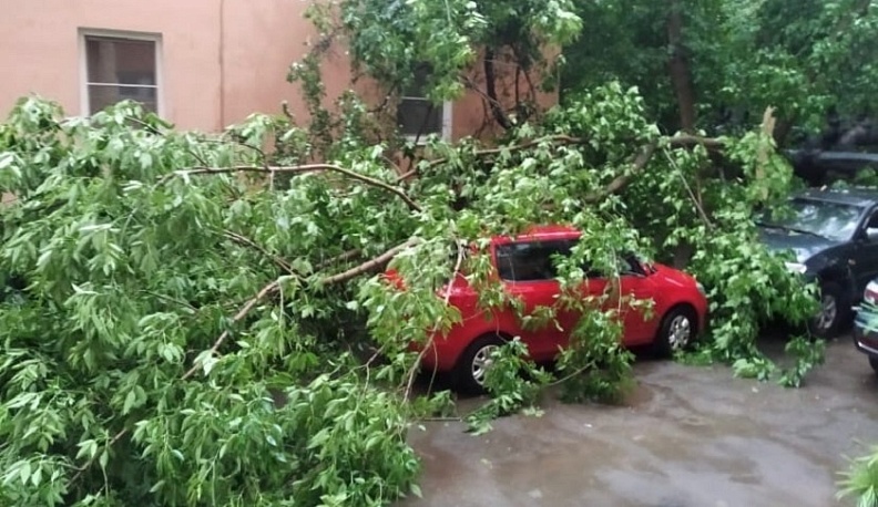 В Калуге ураганом ломало деревья и заборы