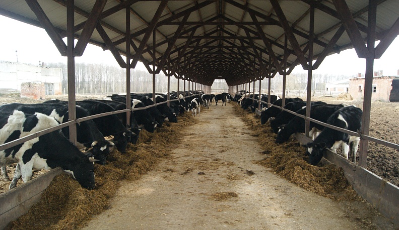 Хозяйства Куйбышевского района к холодам готовы