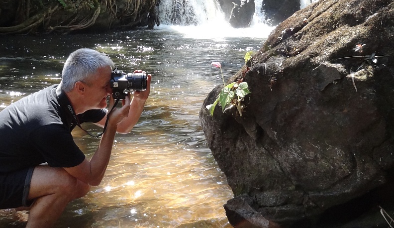 Калужские биологи открыли уникальный вид бегонии