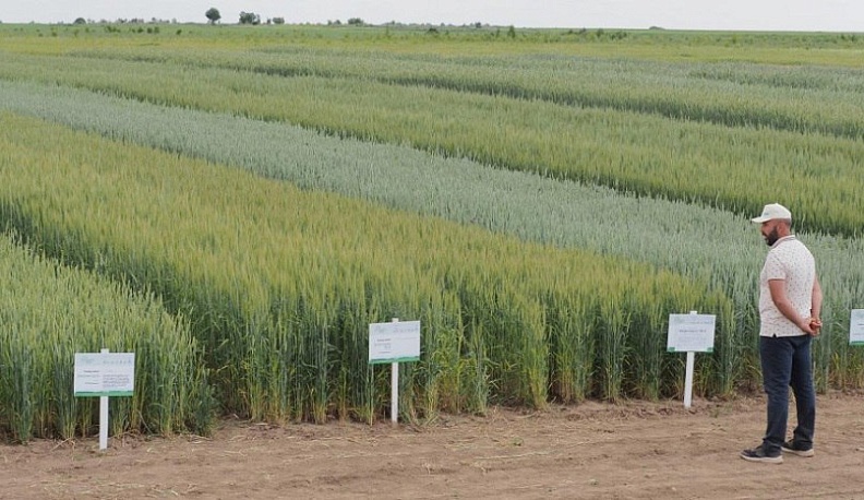 В 2026 году в Калужской области будет возвращено в оборот 20 тыс. гектаров сельхозугодий