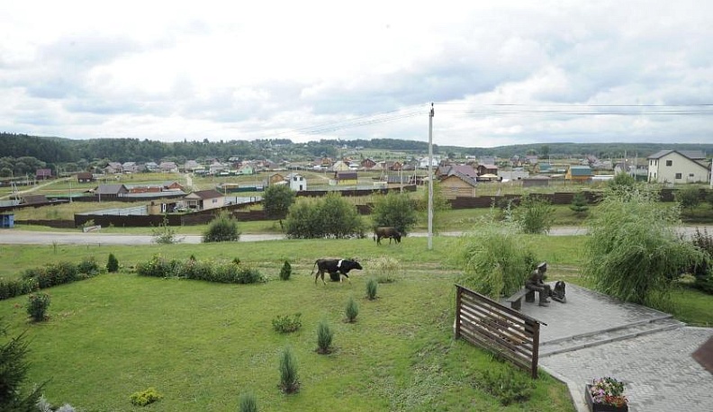 В деревню, в глушь, на отдых