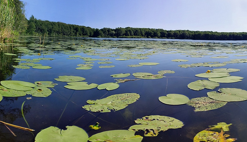 Регион 40. Поехали! Родниковые места, нерукотворные красоты