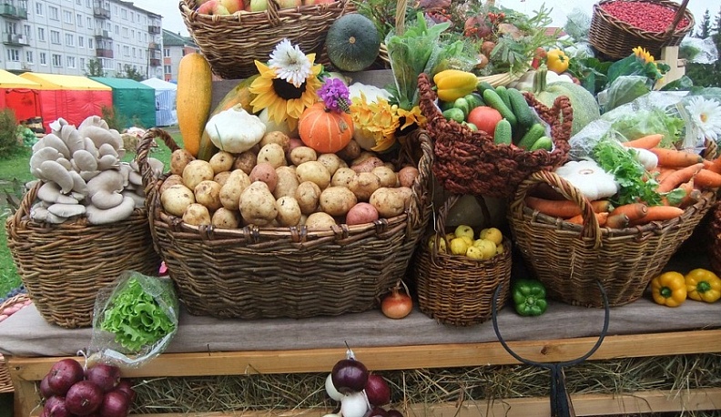 В Калуге отменяется сельскохозяйственная ярмарка