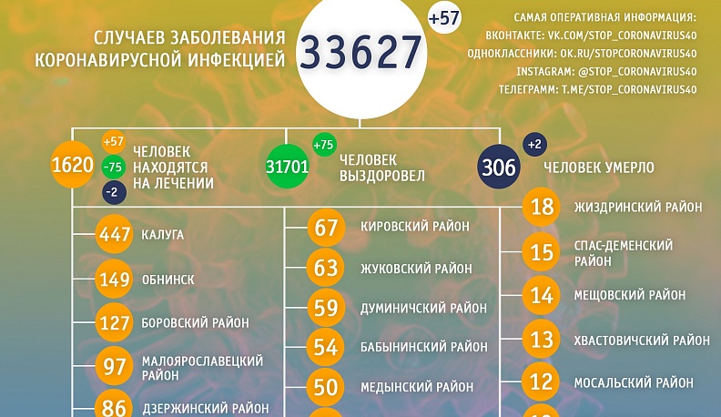 В Калужской области еще два человека погибли от ковида