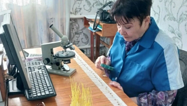 Минсельхоз рекомендует калужским аграриям провести фитоэкспертизу семян перед посевной