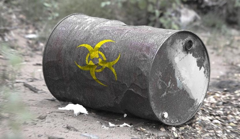 Прокуратура проверит жалобу Путину на переработчика отходов в Ермолино