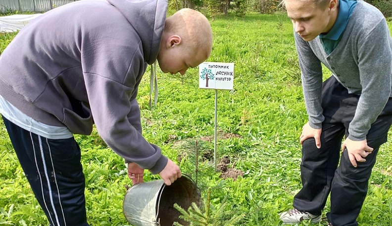 Поколение NEXT выбирает зелёный