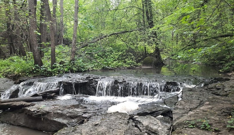 Калужская область снова вошла в десятку регионов в экорейтинге