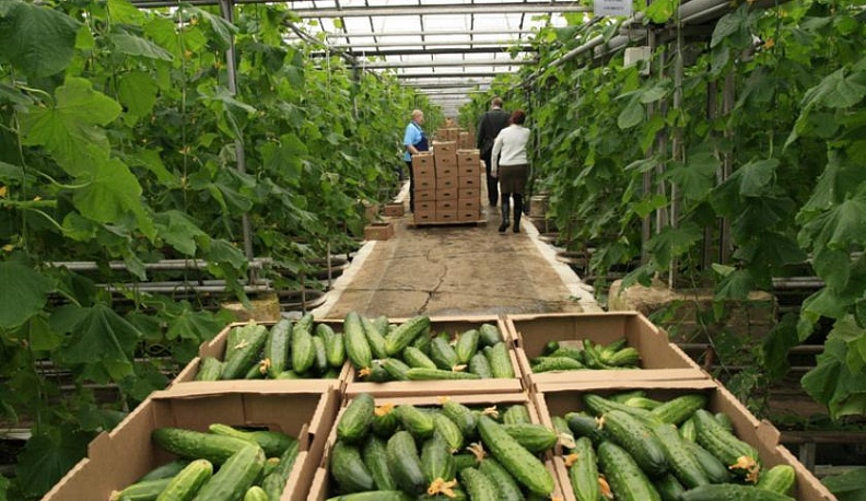 Людиновское предприятие поддержало благотворительный марафон