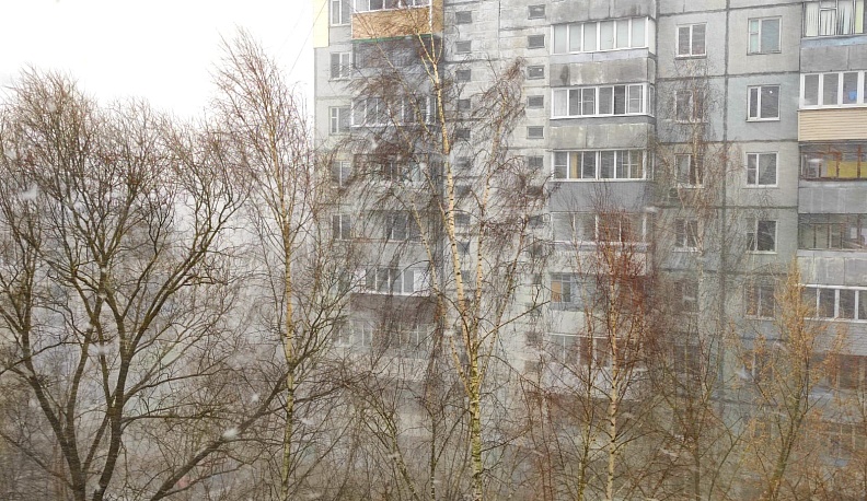 МЧС предупреждает жителей Калуги об усилении ветра 5 апреля