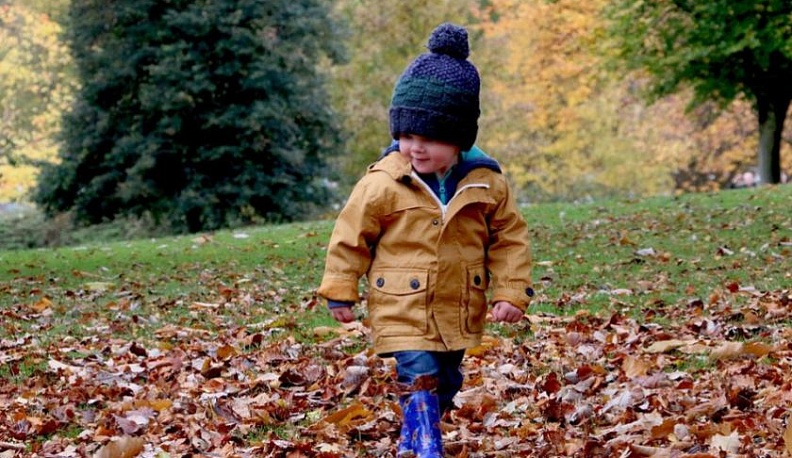 Следственный комитет проверяет детский сад, из которого ушла пятилетняя девочка