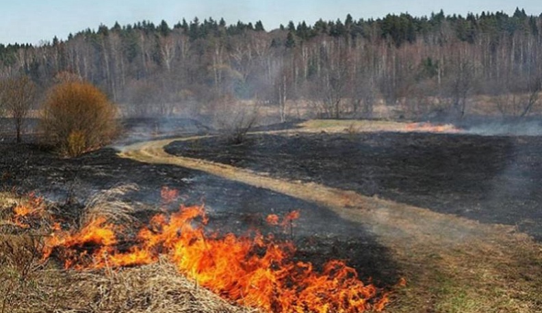 В Калужском регионе объявлен пожароопасный сезон