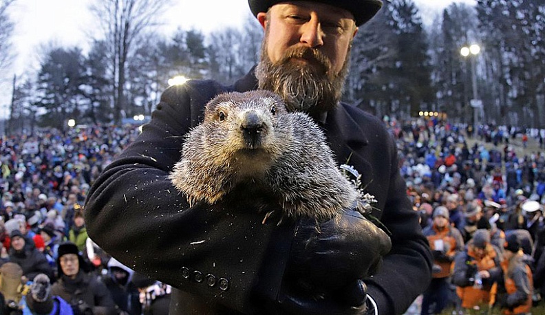 Сурок в США предсказал скорую весну