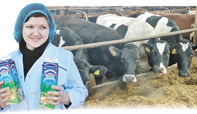 Поддержать марку области