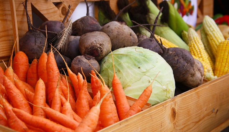 В сентябре в Калуге пройдет ярмарка фермерских товаров