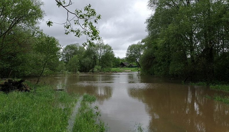 Раскинулась Лужа широко