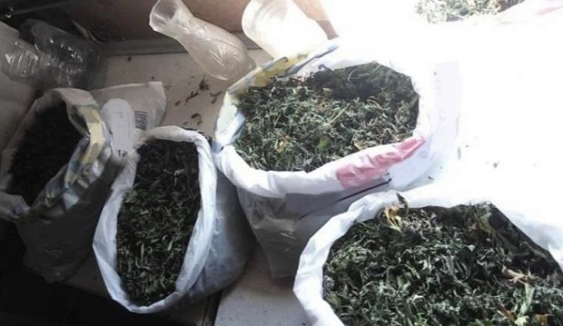 Больше полутора килограммов марихуаны хранили двое москвичей в Ферзиковском районе