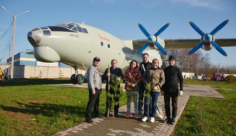 В Боровском районе посадили сосны