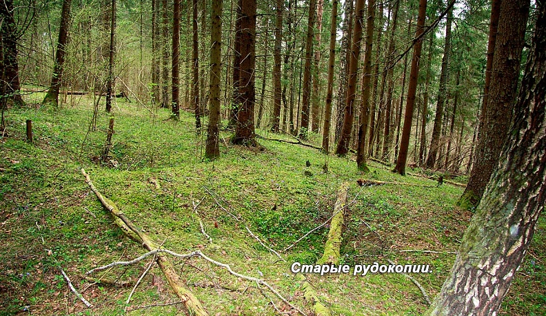 ПО СЛЕДАМ  ПЕТРА ПЕРВОГО