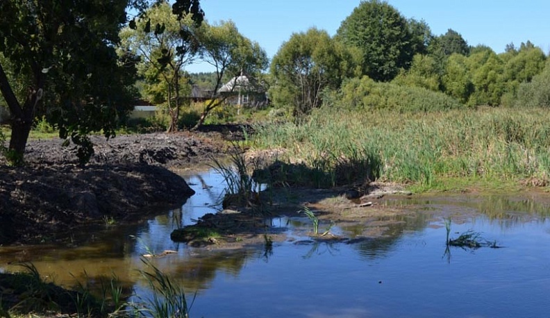 В Людинове начинают чистить каскадные пруды