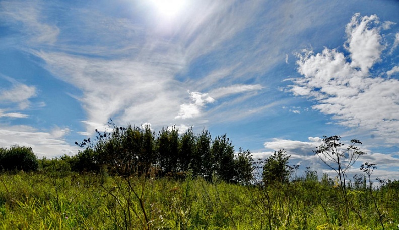 Калужане могут принять участие в экологическом диктанте
