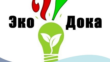 В Калужской области прошел интернет-турнир «ЭкоДока»