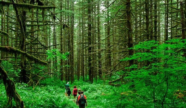 4 команды из Калуги подали заявки на Всероссийский конкурс, направленный на развитие экотуризма 