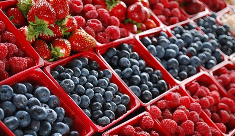 Калужские аграрии за год собрали фруктов и ягод на 14 процентов больше прошлогоднего